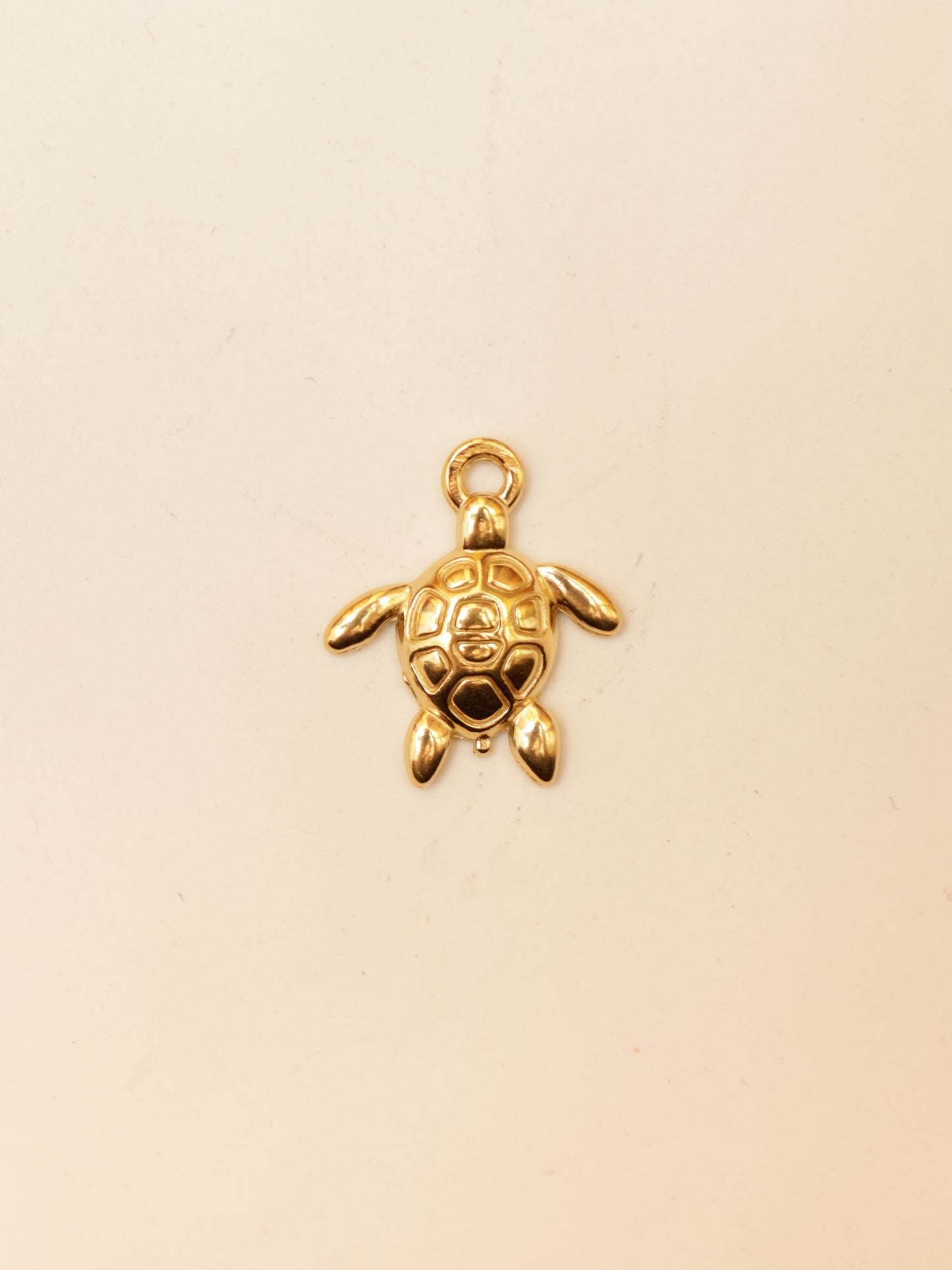 CHARM TORTUGA